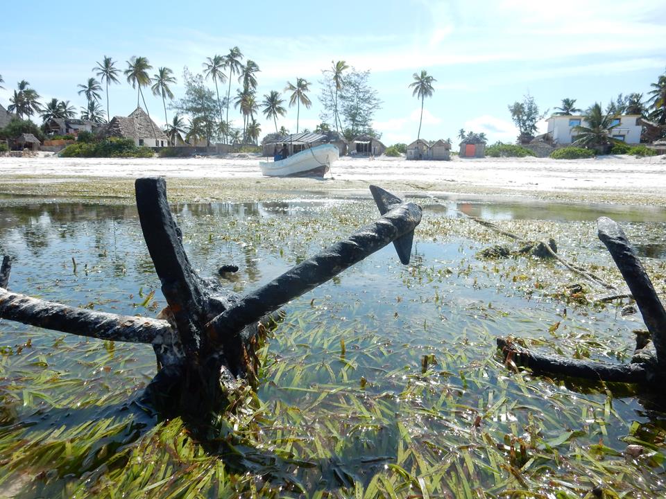 Ebbe-auf-Sansibar (3)