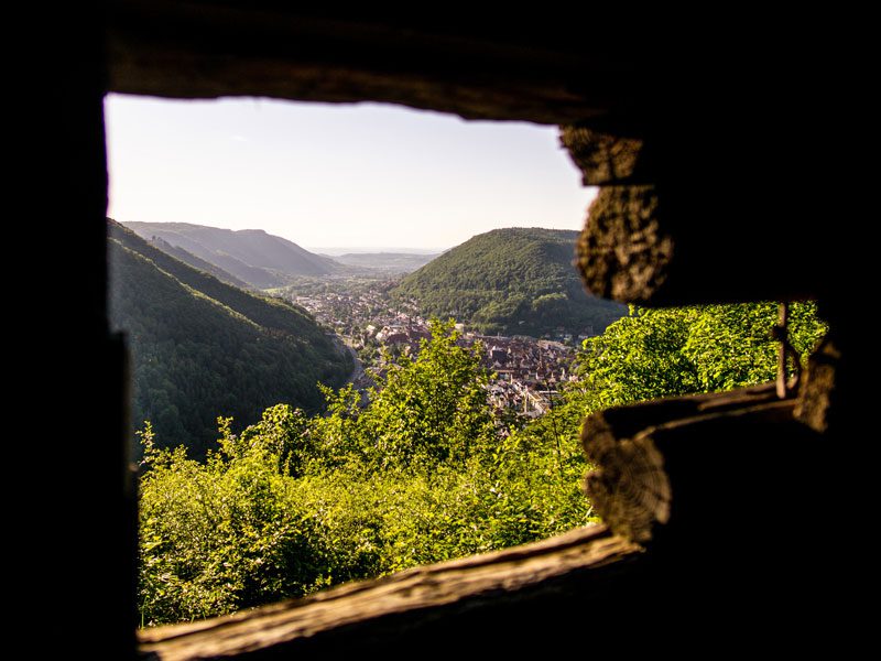 Ausblick