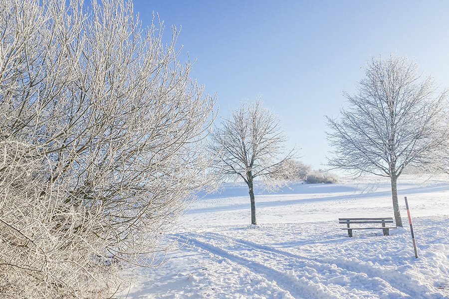 Winterwunderland