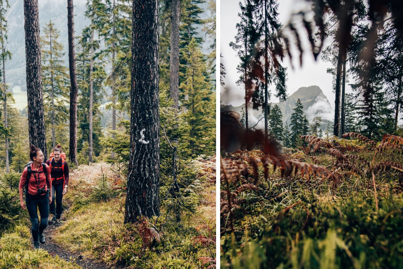 Wanderung durch den Regen