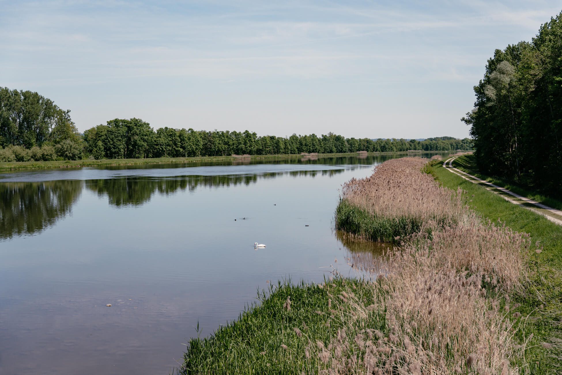Blick auf die Donau
