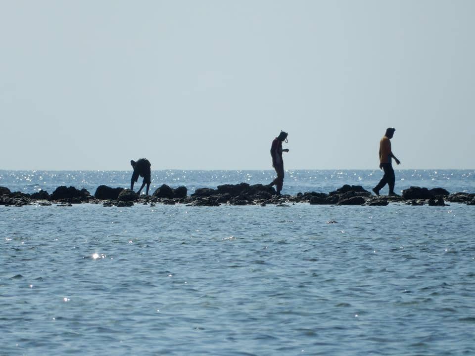 Fischer-Sansibar (2)