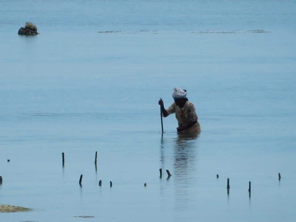 Fischfang-Sansibar (2)